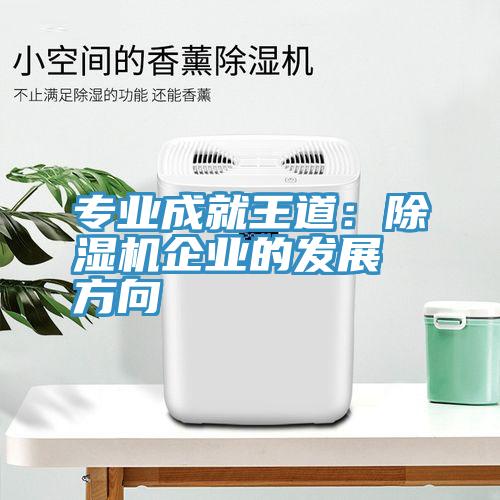 專業成就王道：91看片网站企業的發展方向
