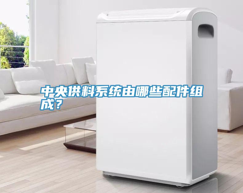 中央供料係統由哪些配件組成？