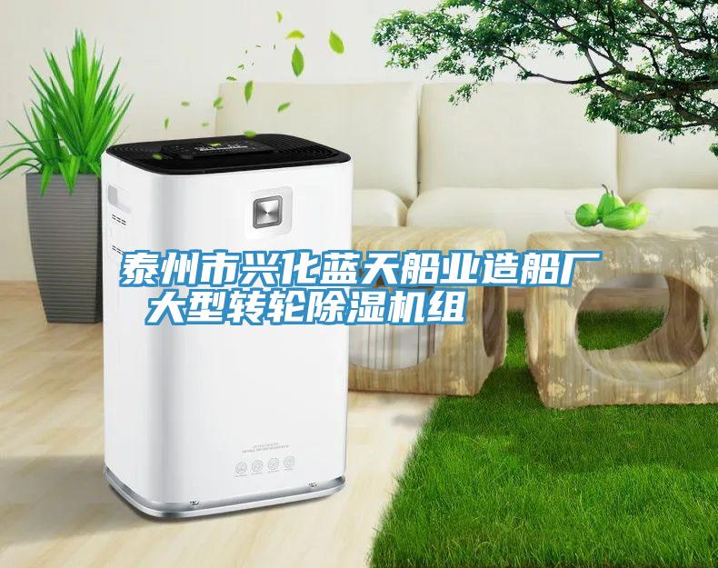 泰州市興化藍天船業造船廠 大型轉輪91看片网站組