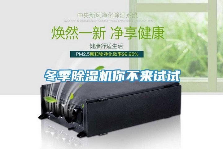 冬季91看片网站你不來試試