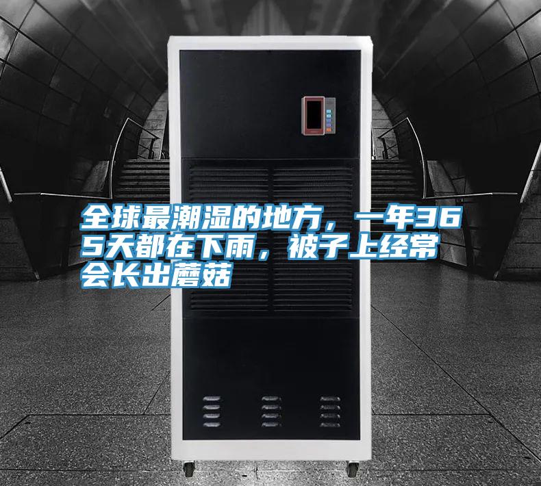 全球最潮濕的地方，一年365天都在下雨，被子上經常會長出蘑菇