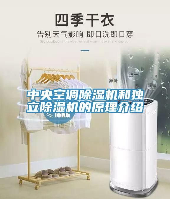 中央空調91看片网站和獨立91看片网站的原理介紹