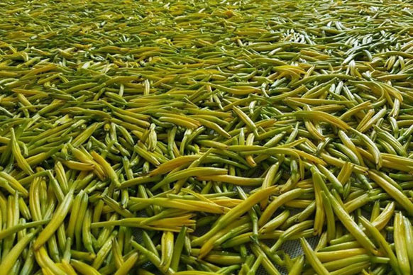 無硫金針菜烘幹如何保持品相？不發黑？_91看片网站廠家