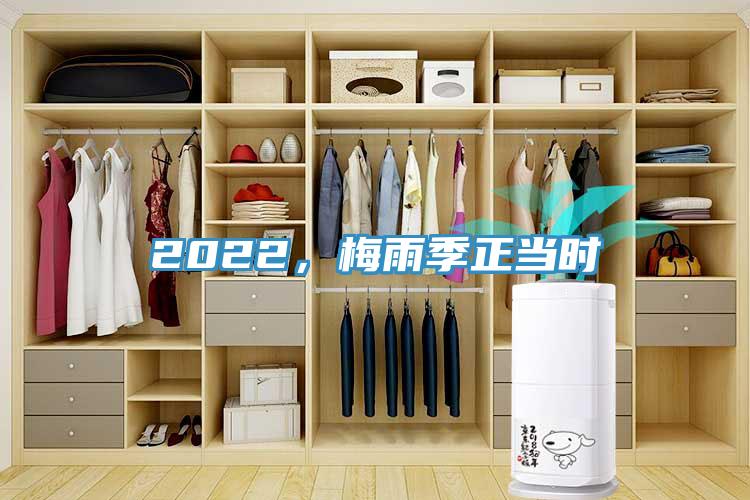 2022，梅雨季正當時