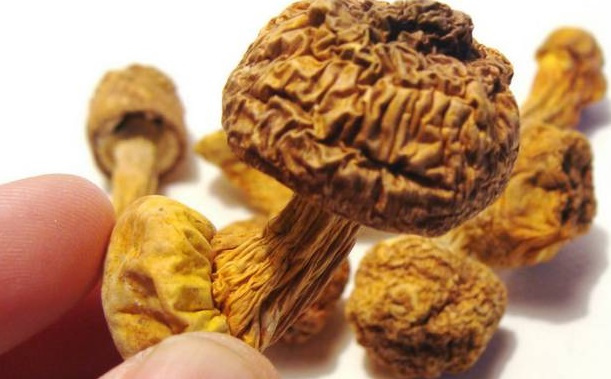 巴西菇、姬鬆茸烘幹機-怎樣烘幹色澤好且菇體褶片完整？