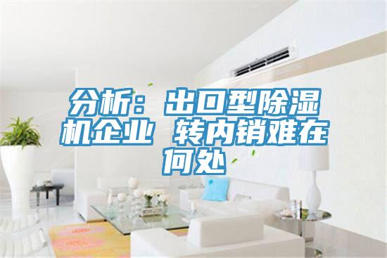 分析：出口型91看片网站企業 轉內銷難在何處