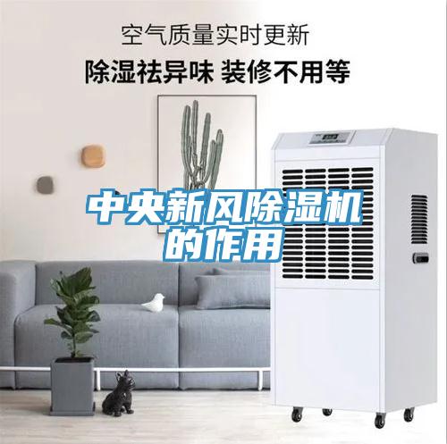 中央新風91看片网站的作用