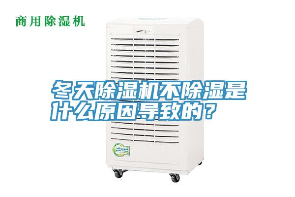 冬天91看片网站不除濕是什麽原因導致的？
