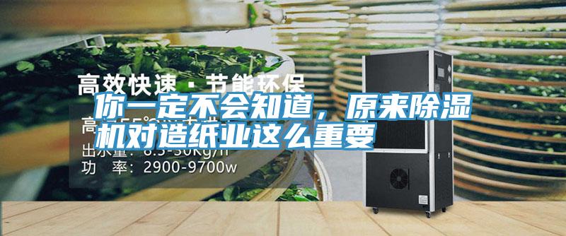你一定不會知道，原來91看片网站對造紙業這麽重要