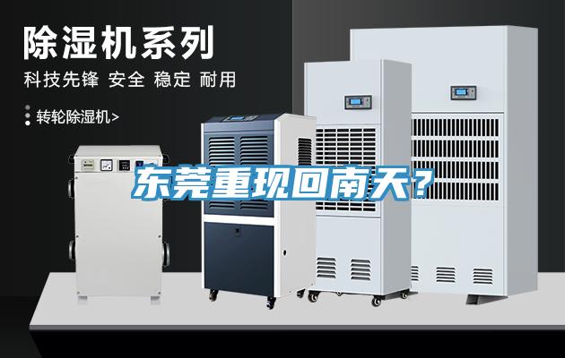 東莞重現回南天？