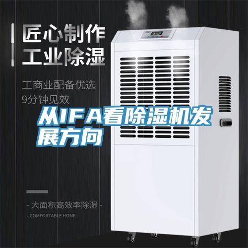 從IFA看91看片网站發展方向