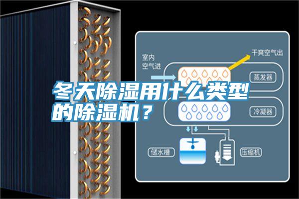 冬天除濕用什麽類型的91看片网站？