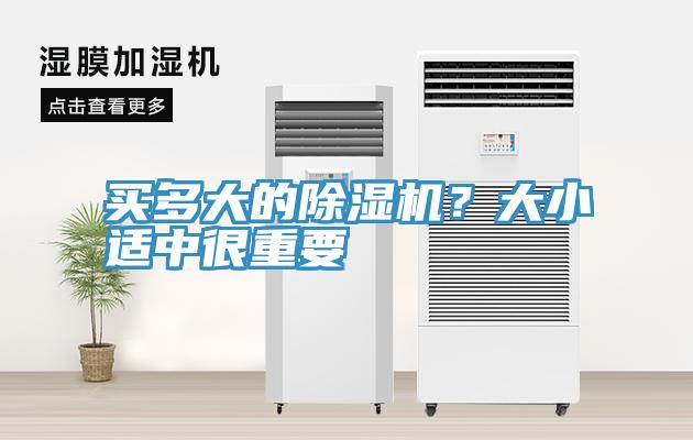買多大的91看片网站？大小適中很重要