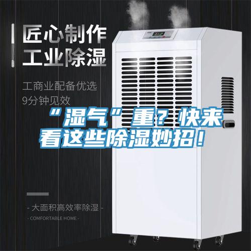 “濕氣”重？快來看這些除濕妙招！