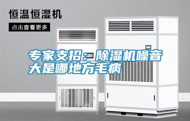 專家支招：91看片网站噪音大是哪地方毛病
