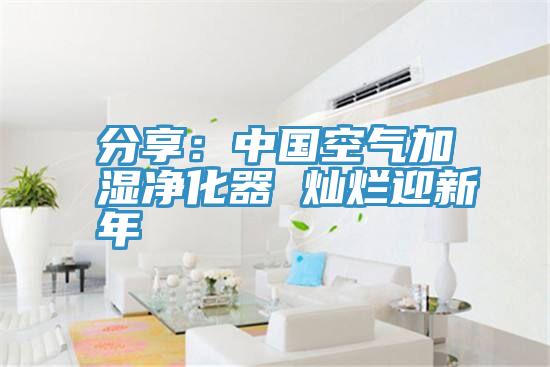 分享：中國空氣加濕淨化器 燦爛迎新年