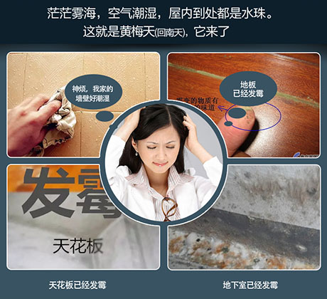 家庭別墅的地下室、衛生間、儲物室等該如何除濕？