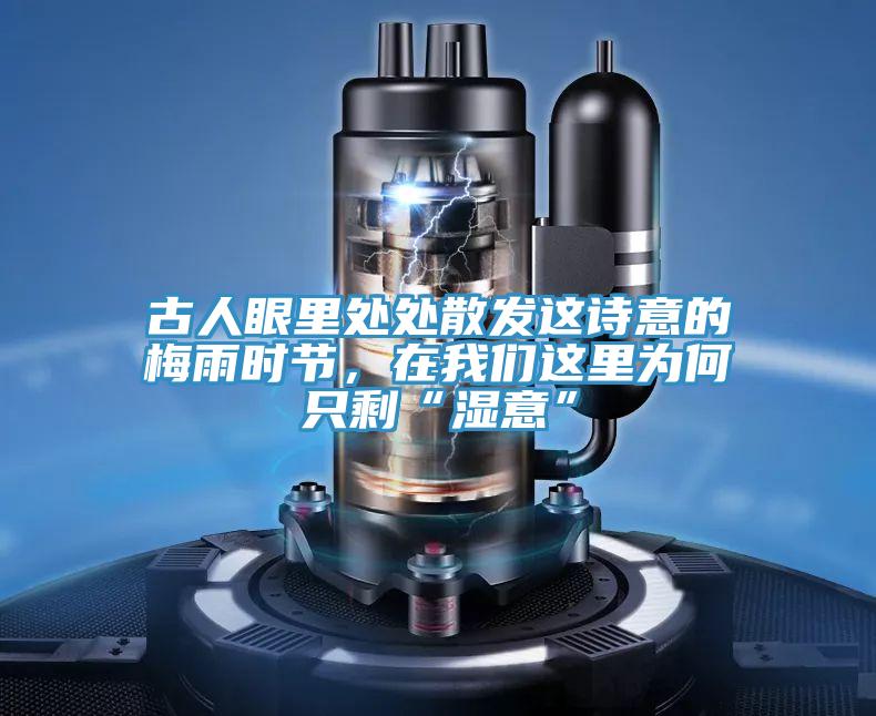 古人眼裏處處散發這詩意的梅雨時節，在91看片免费下载這裏為何隻剩“濕意”