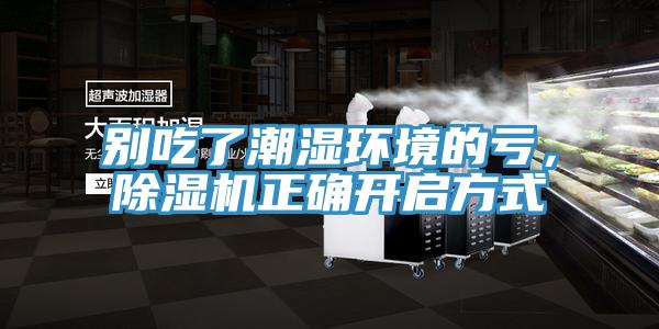 別吃了潮濕環境的虧，91看片网站正確開啟方式