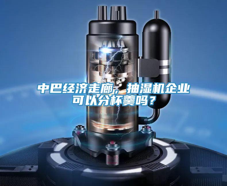 中巴經濟走廊，抽濕機企業可以分杯羹嗎？