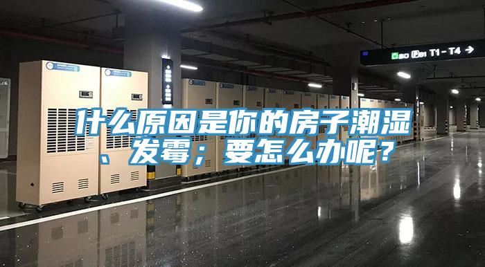 什麽原因是你的房子潮濕、發黴；要怎麽辦呢？