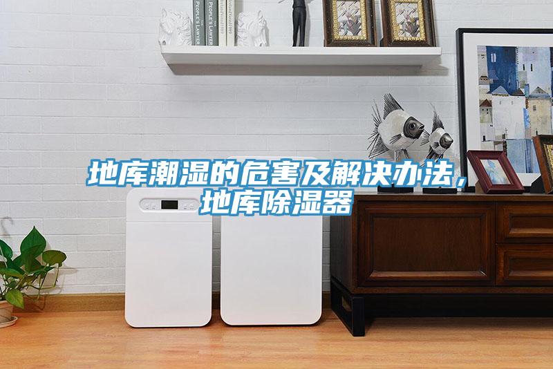 地庫潮濕的危害及解決辦法，地庫除濕器