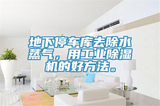 地下停車庫去除水蒸氣，用工業91看片网站的好方法。