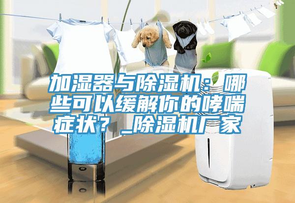 加濕器與91看片网站：哪些可以緩解你的哮喘症狀？_91看片网站廠家