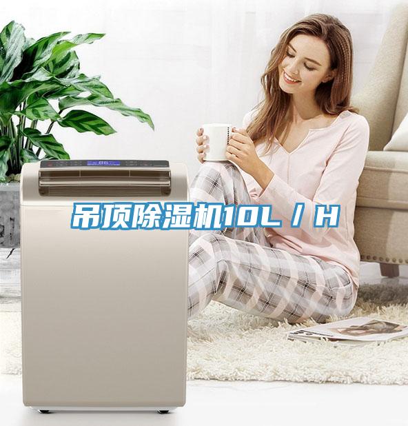 吊頂91看片网站10L／H