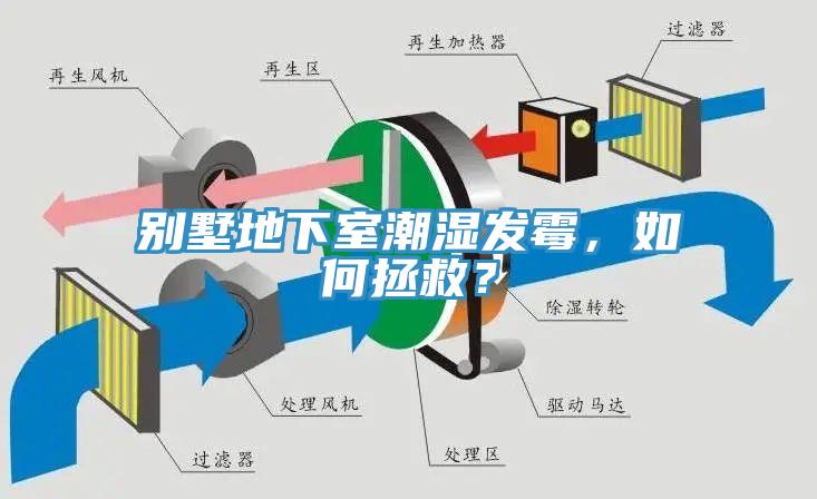 別墅地下室潮濕發黴，如何拯救？