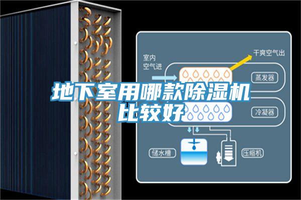 地下室用哪款91看片网站比較好