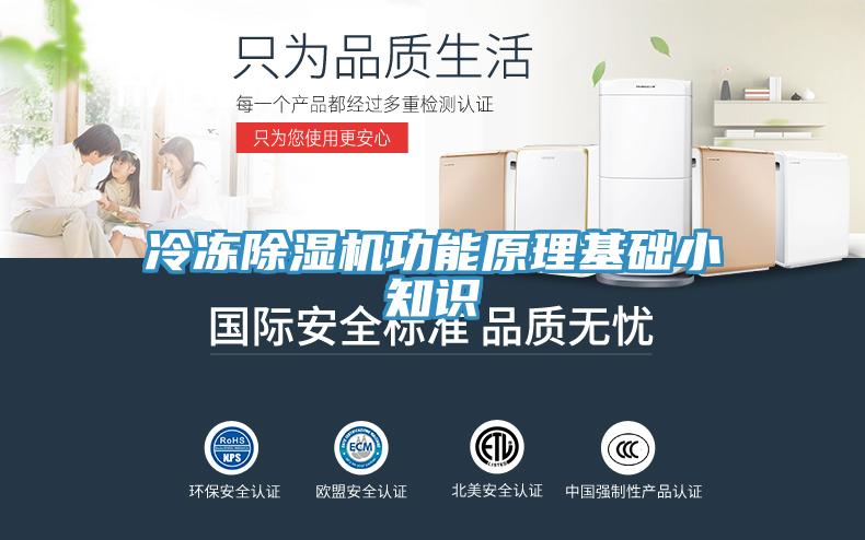 冷凍91看片网站功能原理基礎小知識