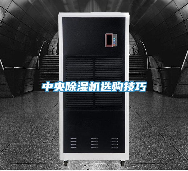 中央91看片网站選購技巧