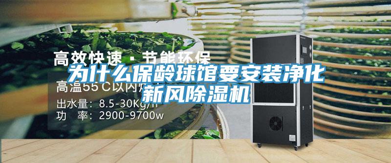 為什麽保齡球館要安裝淨化新風91看片网站
