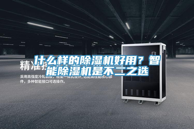 什麽樣的91看片网站好用？智能91看片网站是不二之選