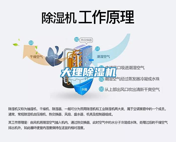 大理91看片网站