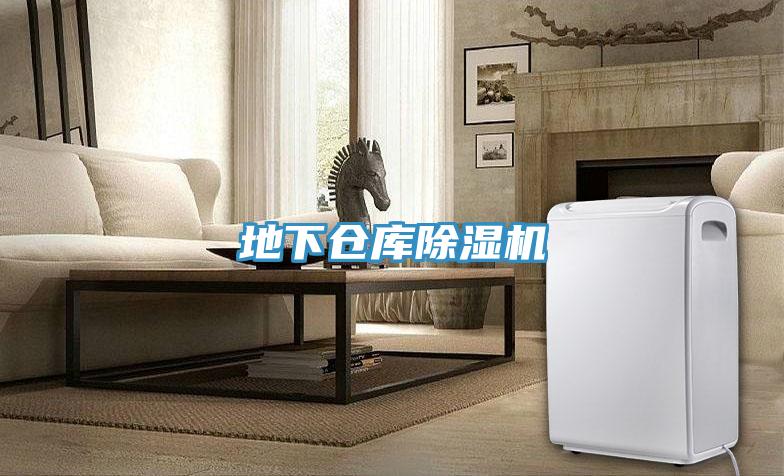 地下倉庫91看片网站