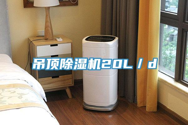 吊頂91看片网站20L／d