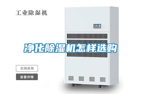 淨化91看片网站怎樣選購