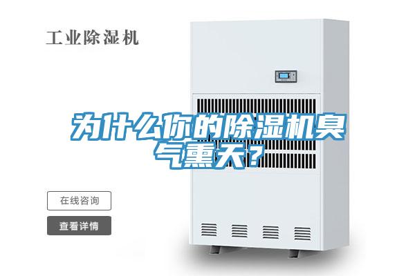 為什麽你的91看片网站臭氣熏天？