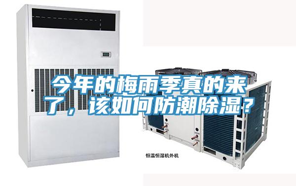 今年的梅雨季真的來了，該如何防潮除濕？