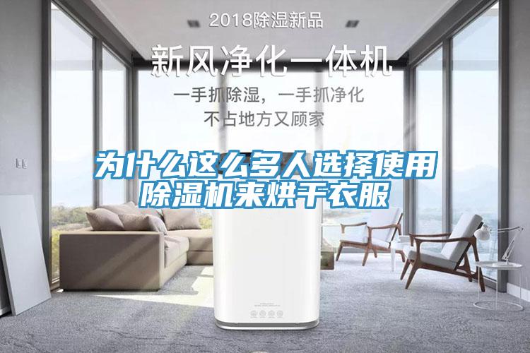 為什麽這麽多人選擇使用91看片网站來烘幹衣服