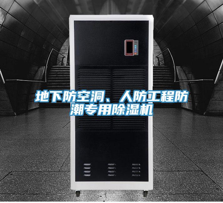 地下防空洞、人防工程防潮專用91看片网站
