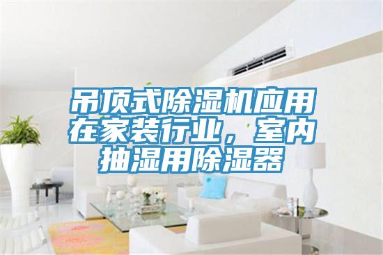 吊頂式91看片网站應用在家裝行業，室內抽濕用除濕器