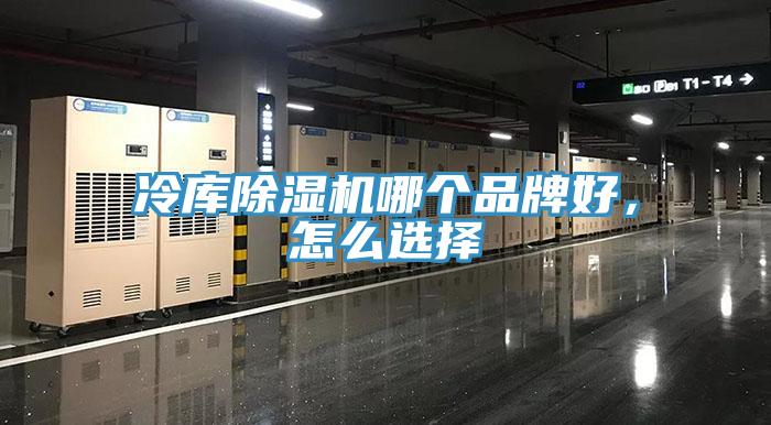 冷庫91看片网站哪個品牌好，怎麽選擇