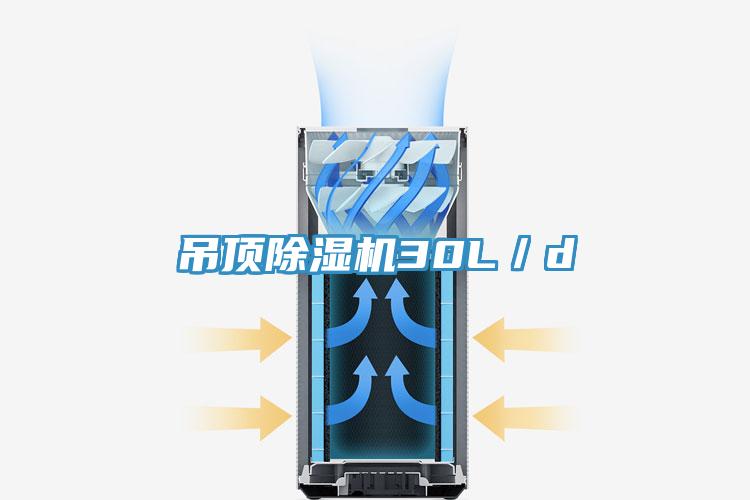 吊頂91看片网站30L／d