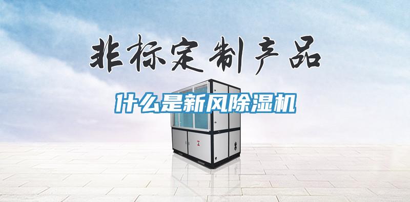 什麽是新風91看片网站