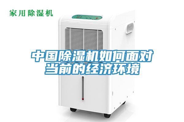 中國91看片网站如何麵對當前的經濟環境