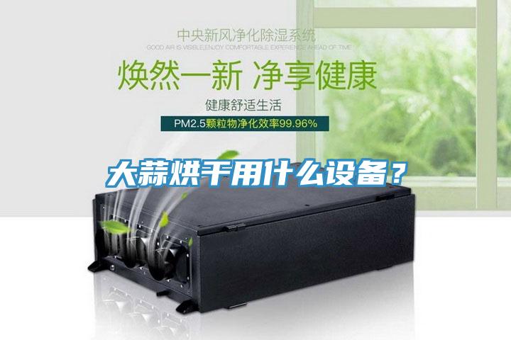 大蒜烘幹用什麽設備？