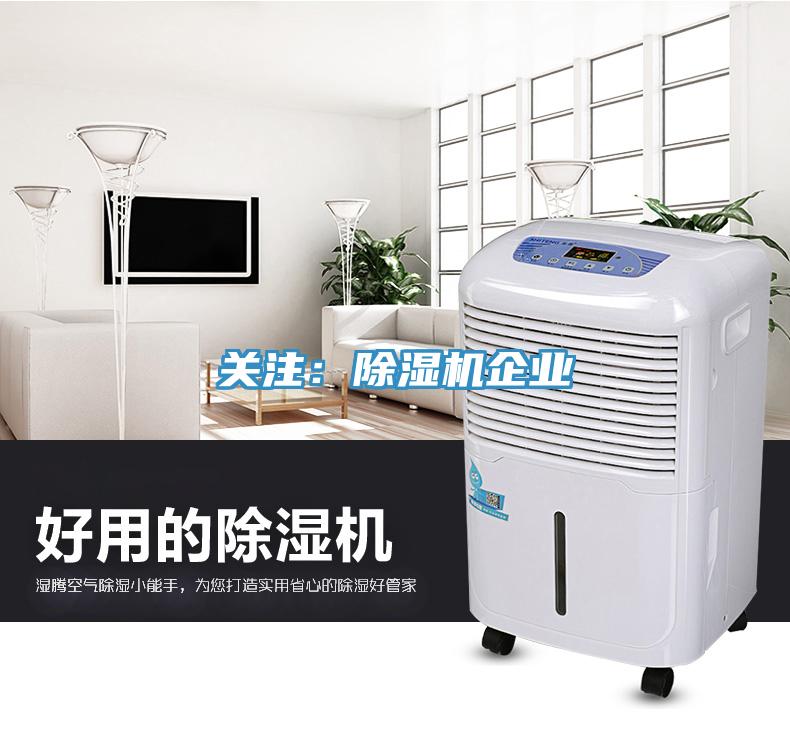 關注：91看片网站企業